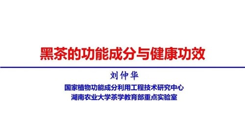 茶的功能成分與健康功效 | 茶、飲茶與健康