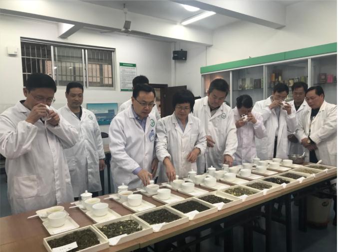 瀟湘茶業(yè)開展花茶審評和座談會，劉仲華院士等專家共謀花茶產業(yè)發(fā)展