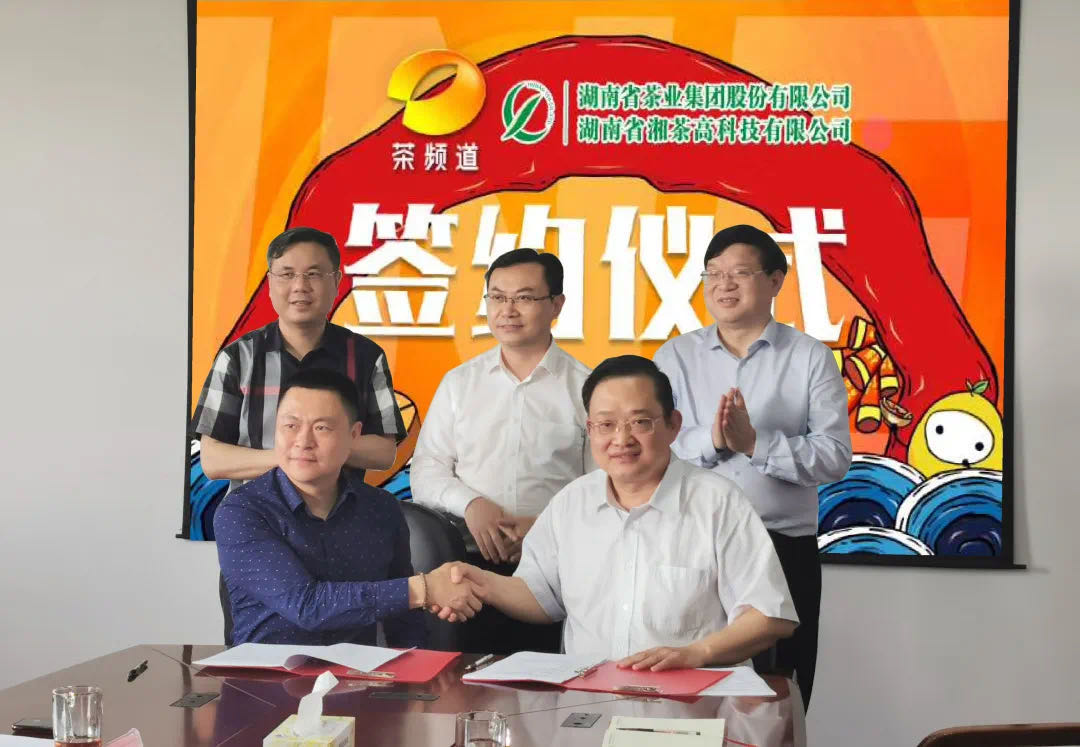 院士見證，輕輕茶發(fā)力品牌建設，與茶頻道達成深度合作